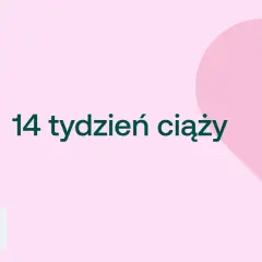13 tydzień ciąży: 4. miesiąc, II trymestr. Co teraz czeka Ciebie i dziecko?