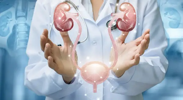 Urolog dla dorosłych: Kiedy iść, co leczy? Bez wstydu o zdrowiu!