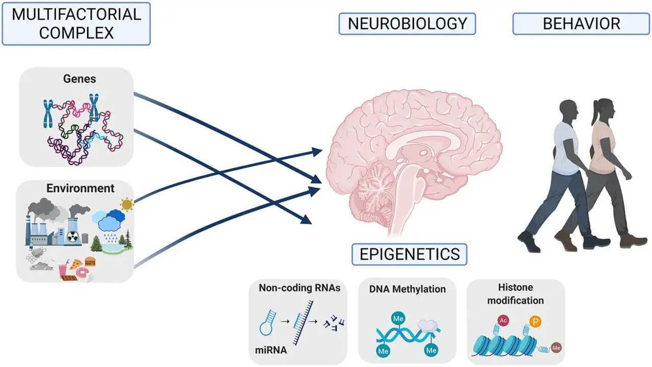 Geny i środowisko wpływają na neurobiologię, zachowanie i epigenetykę, co pomaga zrozumieć, czy choroby psychiczne są dziedziczne.