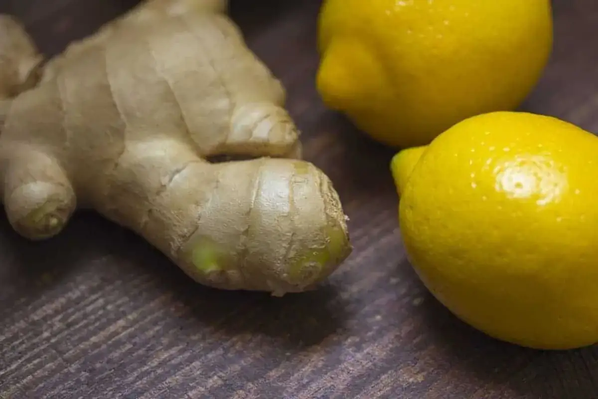 Imbir i cytryny – naturalne sposoby na to, co na kaszel w ciąży.