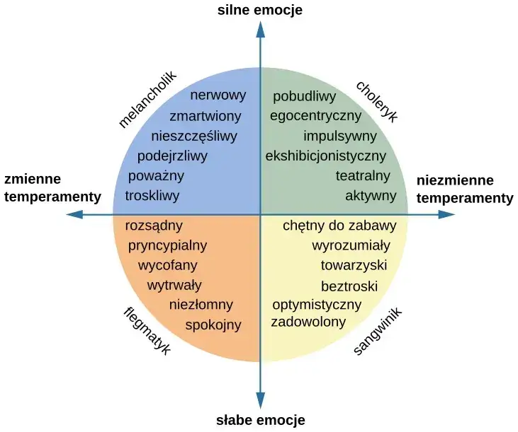 osobowość psychologia definicja